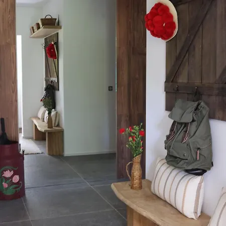 Falkaunest Cozy Mit Sauna Am Apartamento