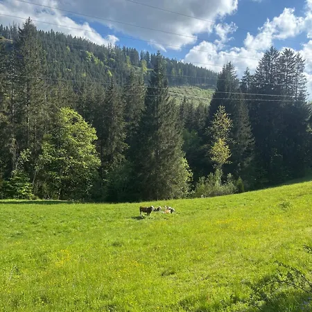 Falkaunest Cozy Mit Sauna Am * Feldberg (Baden-Wurttemberg)
