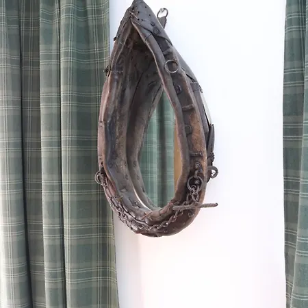 Falkaunest Cozy Mit Sauna Am