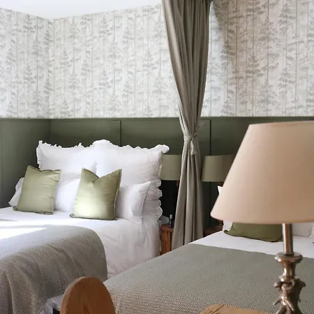 Apartment Falkaunest Cozy Mit Sauna Am Feldberg (Baden-Wurttemberg)